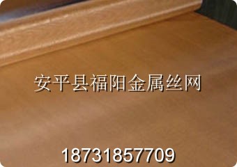 銅網(wǎng)